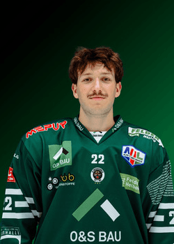 Josef FLICK