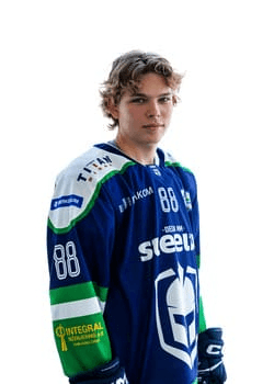 Niksa Juric