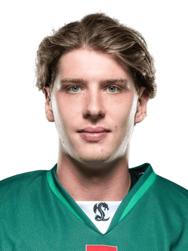 Ziga Mehle
