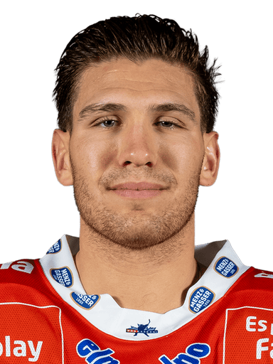 Matt Bradley