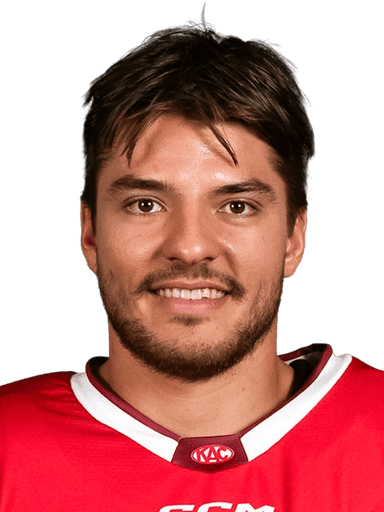Fabian Hochegger