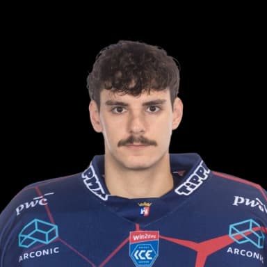 Levente Hegedüs