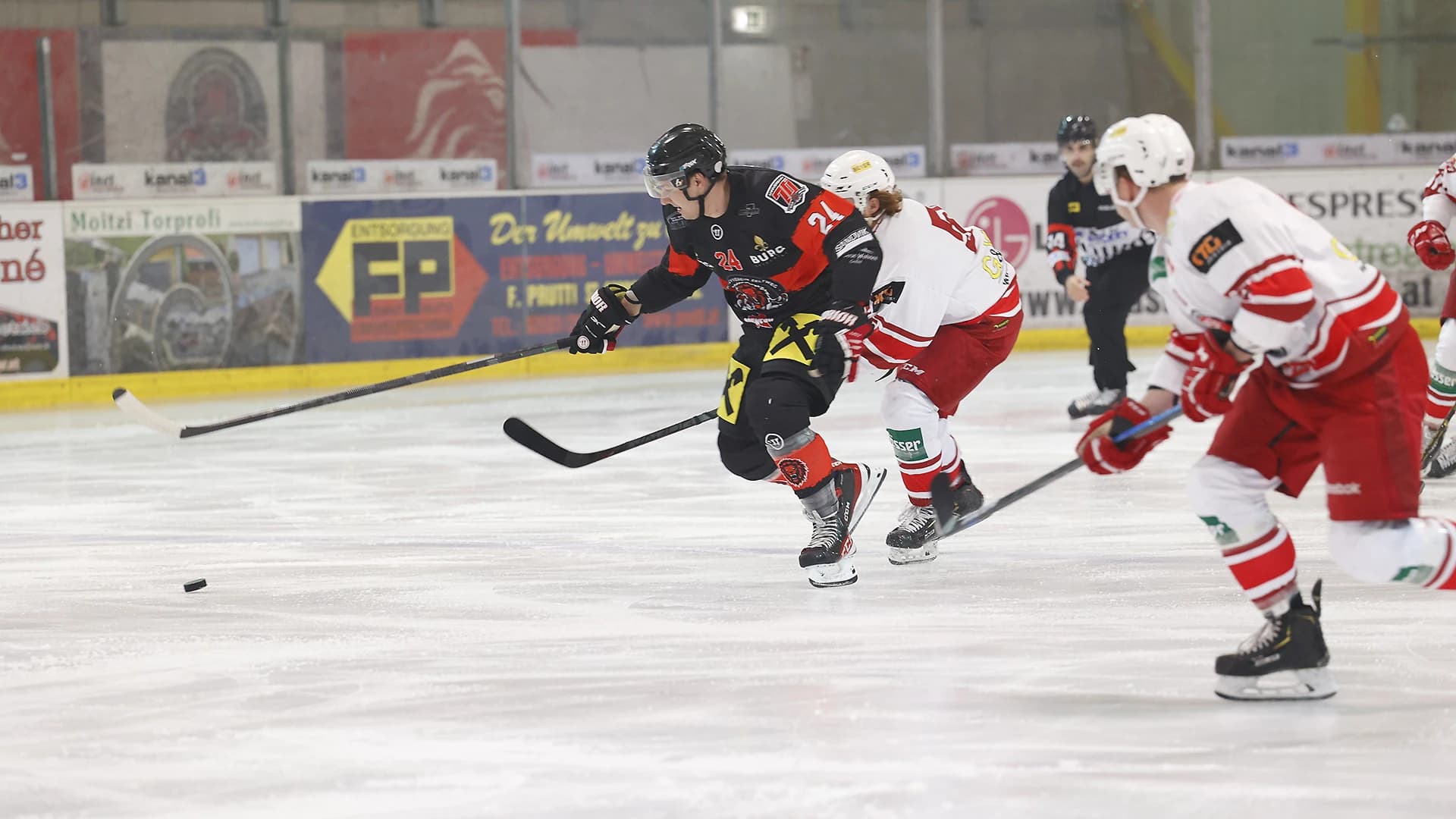 Copyright: EV Zeltweg Murtal Lions/Christian Mayerl