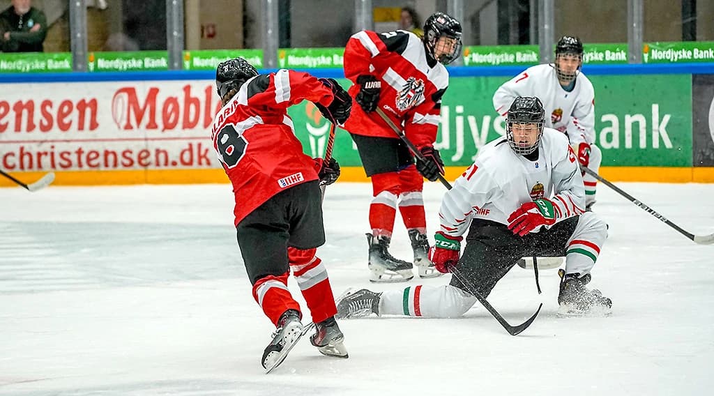 Copyright: Danmarks Ishockey Union