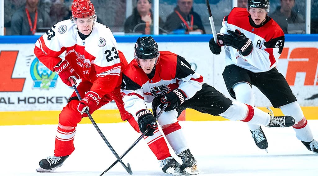 Copyright: IIHF/Domen Jančič